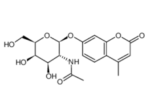 4-Methylumbelliferyl2-acetamido-2-deoxy-beta-D-galactopyranoside