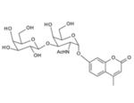 4-Methylumbelliferyl2-acetamido-3-O-b-D-galactopyranosyl-a-D-galactopyranoside