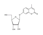 4-Methylumbelliferylbeta-D-ribofuranoside