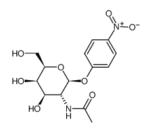 4-nitrophenyl2-acetamido-2-deoxy-beta-D-galactopyranoside