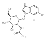 5-bromo-6-chloro-3-indolyl-n-acetyl-beta-d-glucosaminide