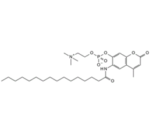 6-Hexadecanoylamino-4-methylumbelliferylPhosphorylcholine