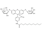 C12FDG-5-Dodecanoylaminofluoresceindi-b-D-galactopyranoside