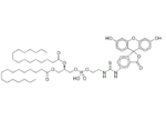 Fluorescein-Dipalmitoylphosphatidylethanolamine