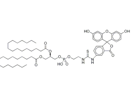 Fluorescein-Dipalmitoylphosphatidylethanolamine