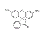 Fluoresceindiacetate-3-6-Diacetoxyfluoran-Di-O-acetylfluorescein