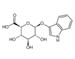 Indoxylglucuronide