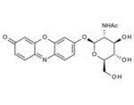 Resorufinyl2-acetamido-2-deoxy-beta-D-glucopyranoside