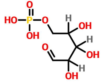 Ribose5-phosphate