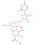 UDP-GlcA