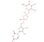 UDP-rhamnose