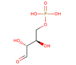 erythrose4-phosphate