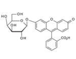 fluoresceinmono-beta-d-galactopyranoside