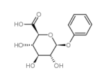 phenylglucuronide