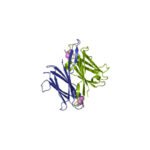 bc2la-from-burkholderia-cenocepacia—bacterial-protein-produced-in-e–coli