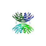 lecb-pa-iil-from-pseudomonas-aeruginosa—bacterial-protein-produced-in-e–coli