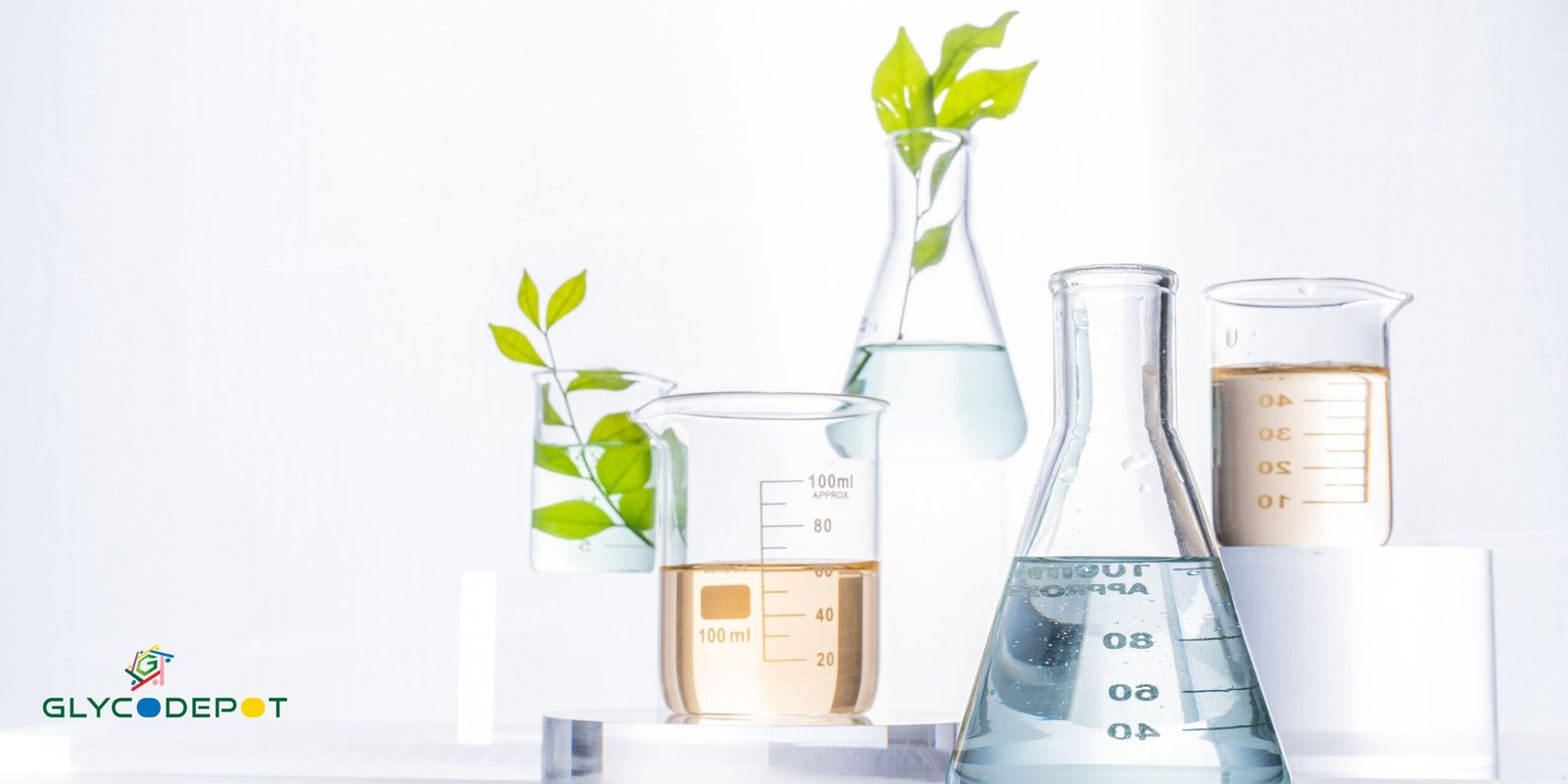 Glycoscience
