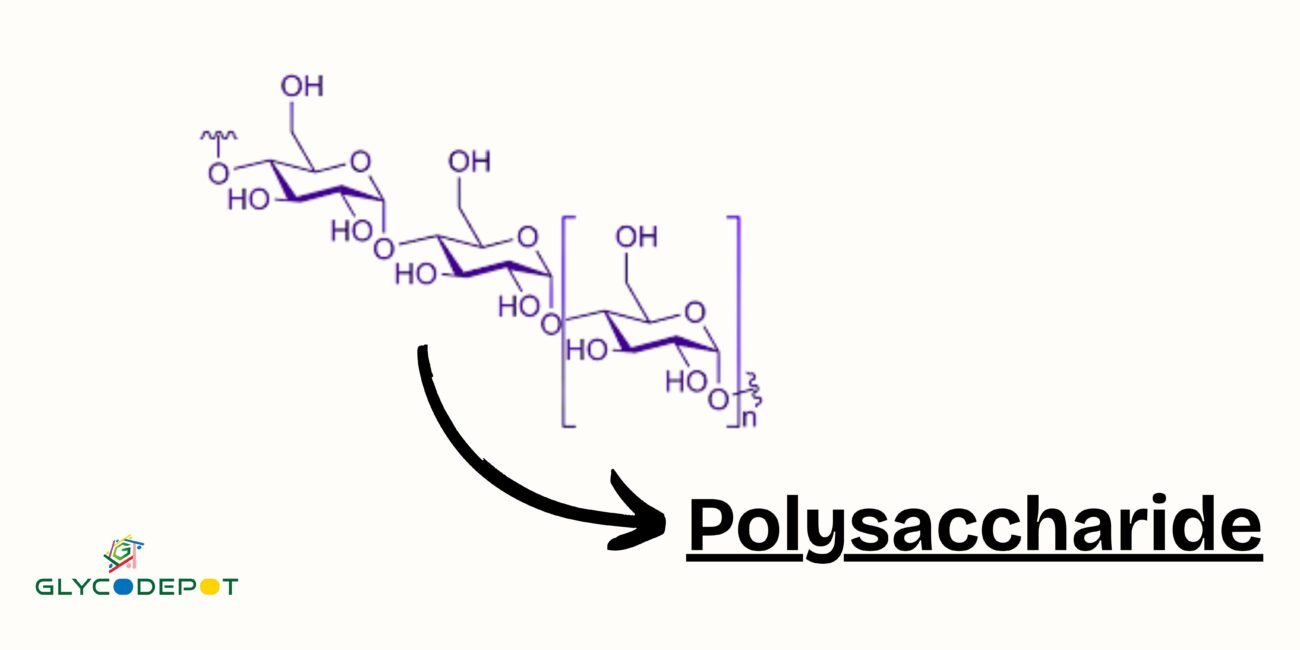 Polysaccharide