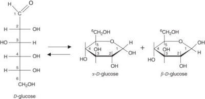 Glycosylation in Chemoenzymatic Cell Surface Labeling: A Deep Dive
