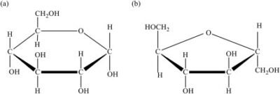 Glycosylation in Chemoenzymatic Cell Surface Labeling: A Deep Dive