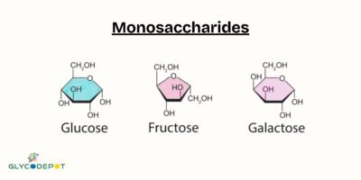 Glycosylation in Chemoenzymatic Cell Surface Labeling: A Deep Dive