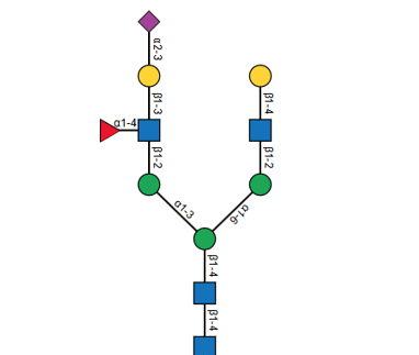 Screenshot 2025 08 20 095626