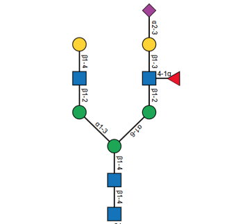 Screenshot 2025 08 20 095653