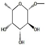 Methyl b L fucopyranoside
