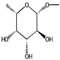 Methyl b L fucopyranoside