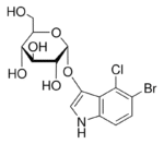 5 Bromo 4 chloro 3 indolyl α D glucopyranoside