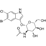 5 Bromo 6 chloro 3 indolyl N acetyl β D galactosaminide