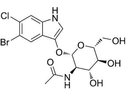 5 Bromo 6 chloro 3 indolyl N acetyl β D galactosaminide