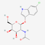 6 Chloro 3 indoxyl N acetyl beta D galactosaminide