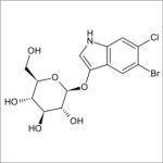Magenta α L Fucoside